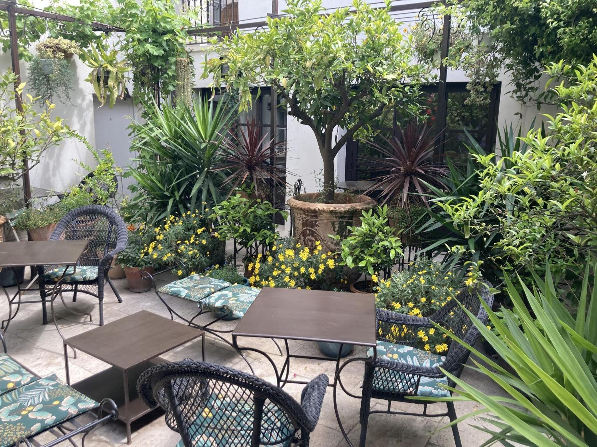 La Maison Des Augustins 4 Stars Et Fitness Avignon