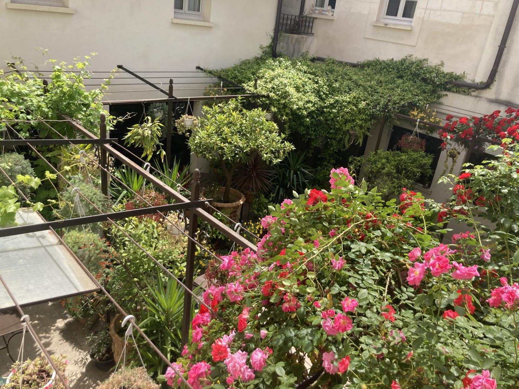Bed & Breakfast La Maison Des Augustins 4 Stars Et Fitness Avignon