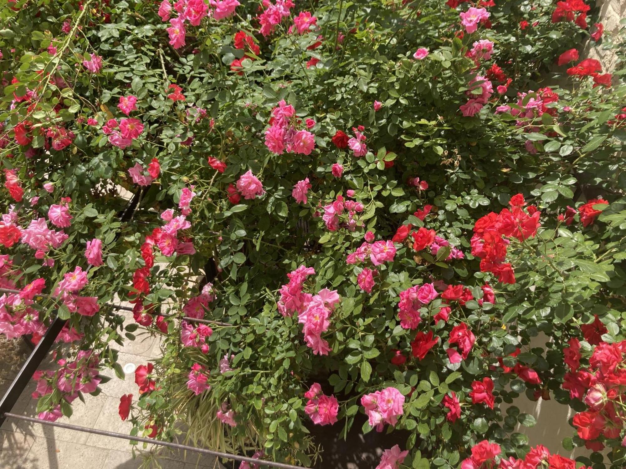 Bed & Breakfast La Maison Des Augustins 4 Stars Et Fitness