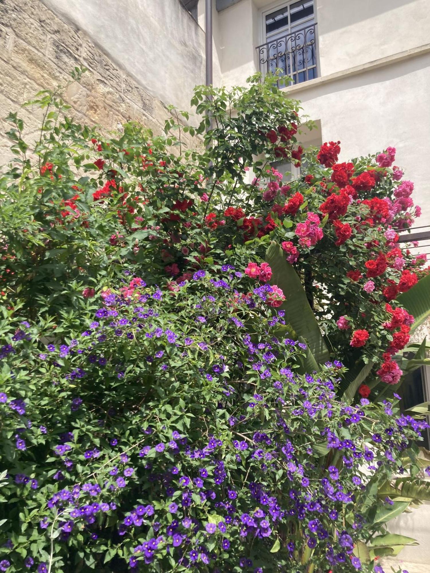 Aux Augustins Avignon